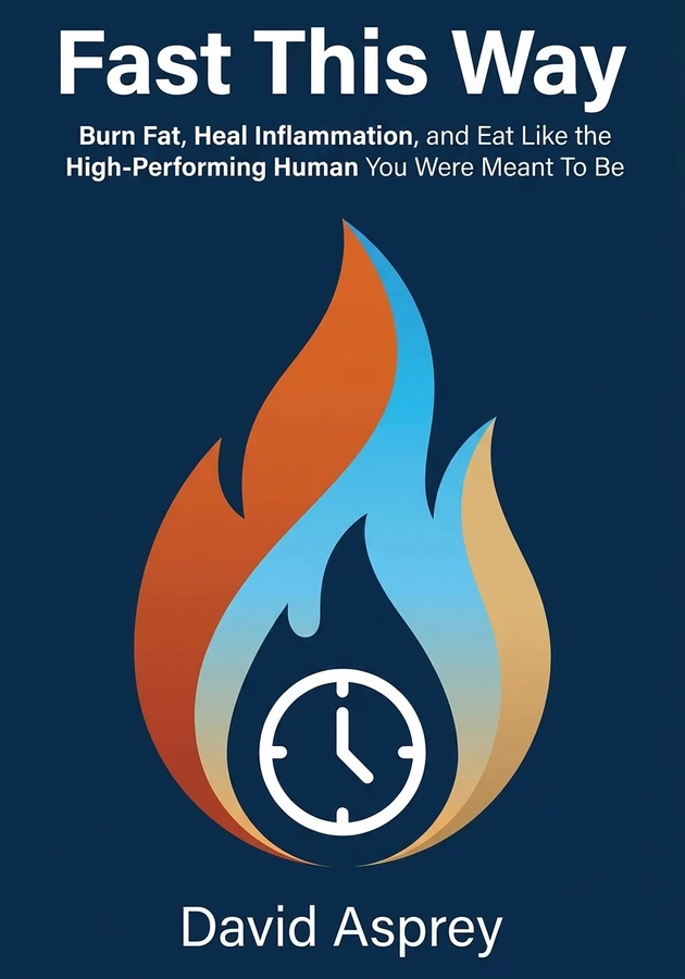 Book cover of Fast This Way by David Asprey — critical summary review on 12min