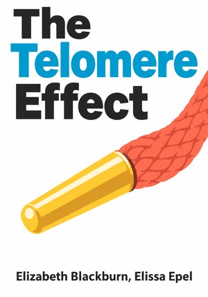 Book cover of The Telomere Effect by Elizabeth Blackburn & Elissa Epel — critical summary review on 12min